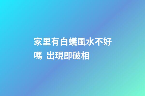 家里有白蟻風水不好嗎  出現即破相